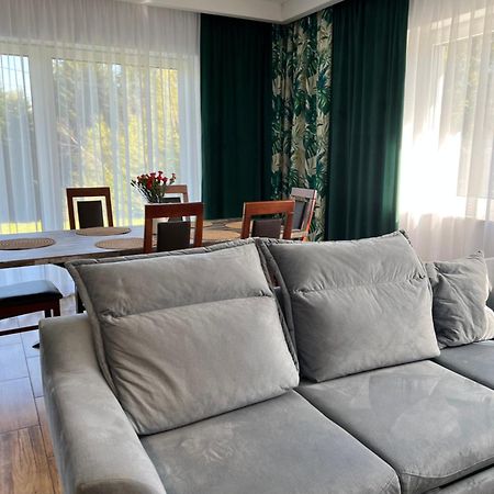 Palesnica Dom Na Borowkowym Wzgorzu 아파트 외부 사진