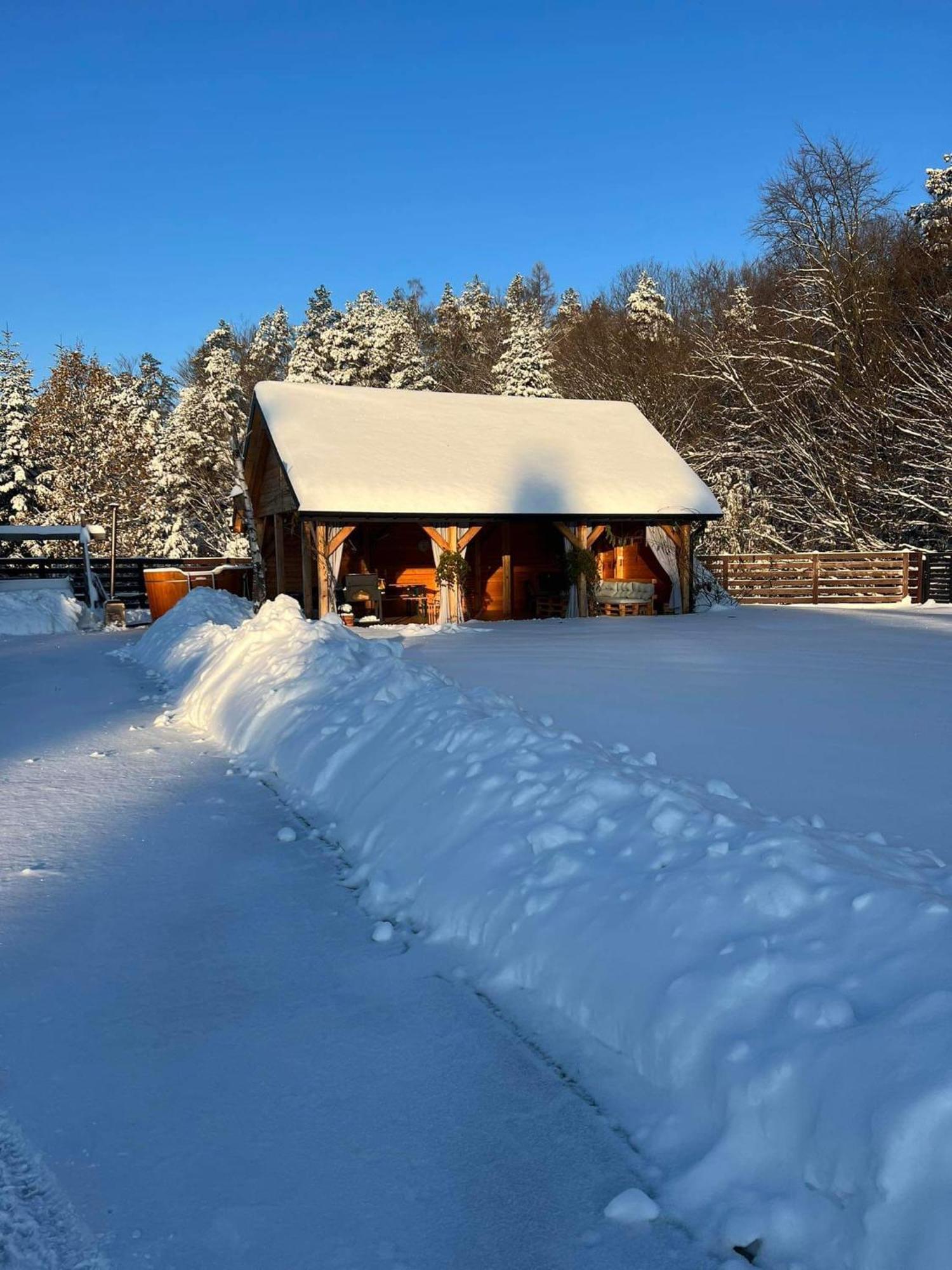 Palesnica Dom Na Borowkowym Wzgorzu 아파트 외부 사진